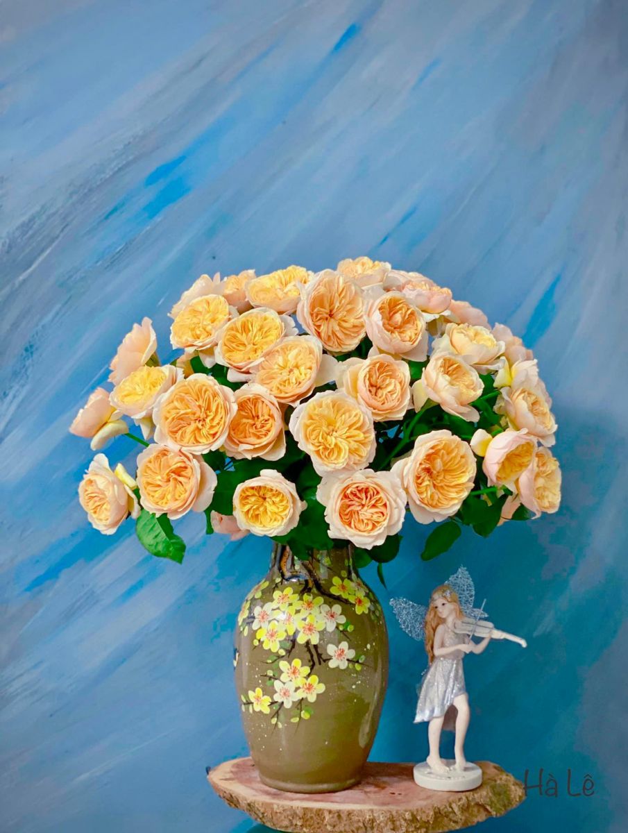 Tử vi ngày 29/6/2022 của 12 cung hoàng đạo